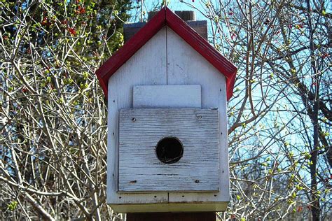 roosting boxes for wild birds